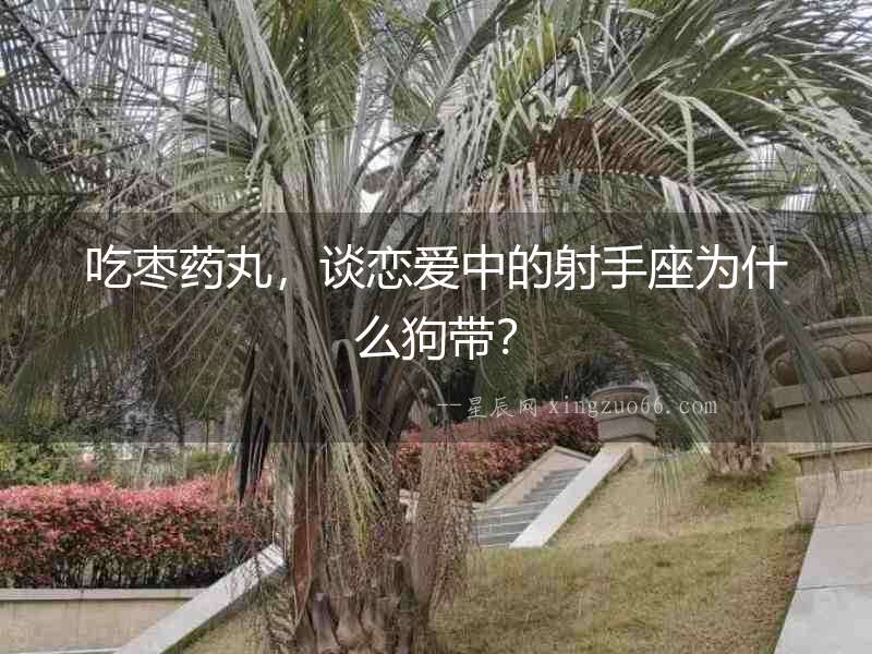 吃棗藥丸，談戀愛中的射手座為什么狗帶？