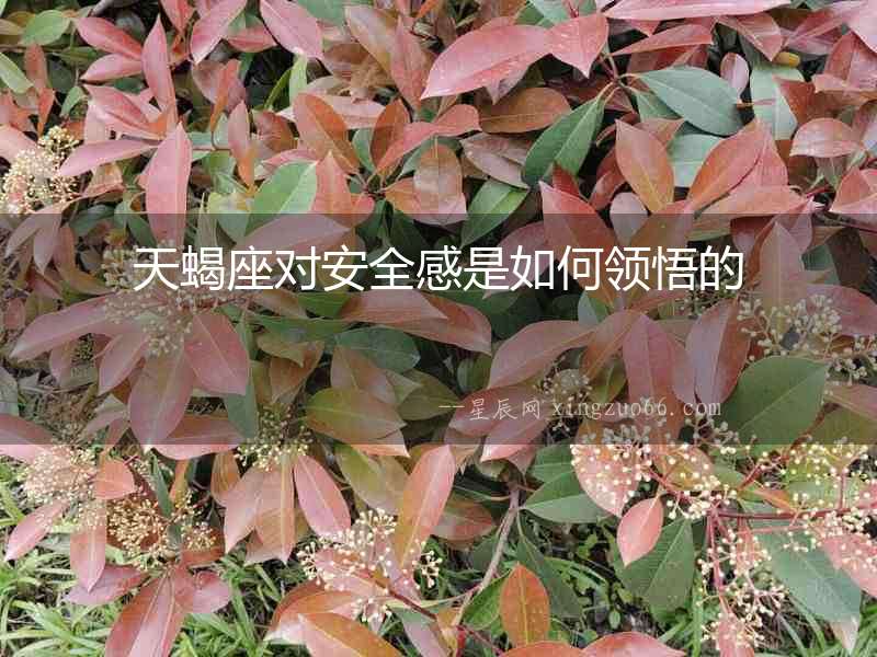 天蝎座對安全感是如何領悟的