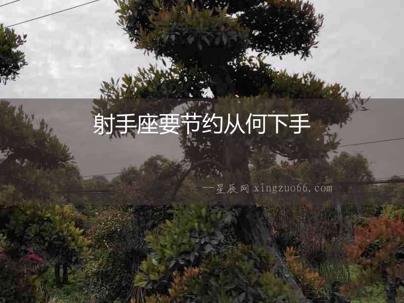 射手座要節約從何下手