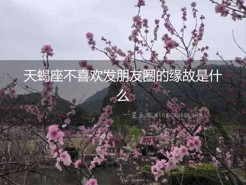 天蝎座不喜歡發朋友圈的緣故是什么