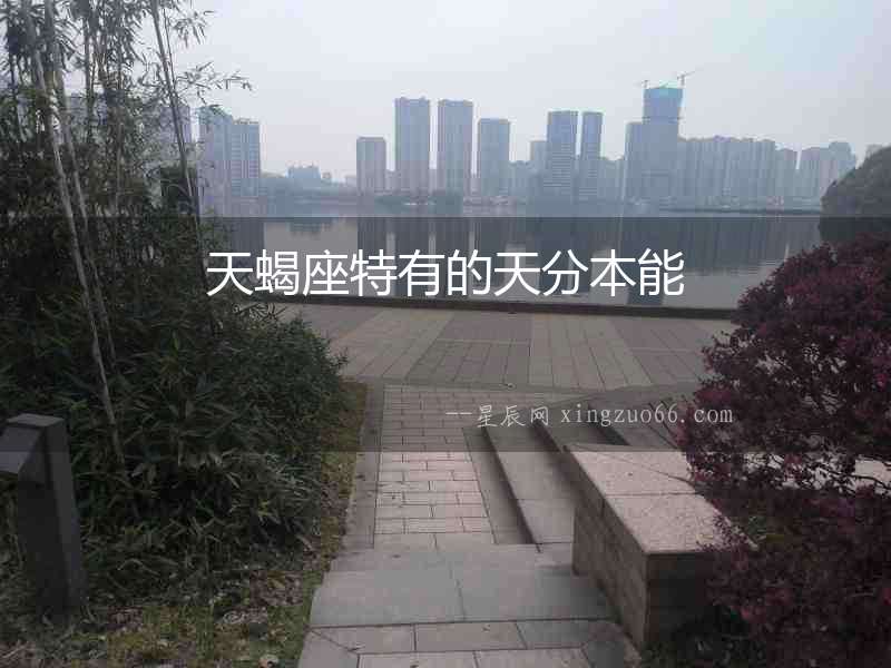 天蝎座特有的天分本能