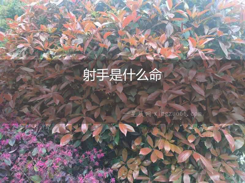 射手是什么命