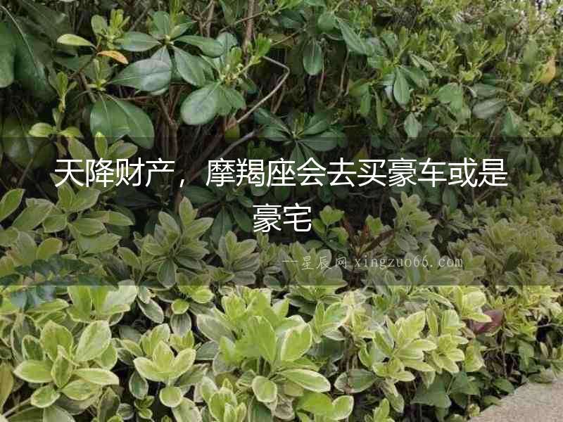 天降財產，摩羯座會去買豪車或是豪宅