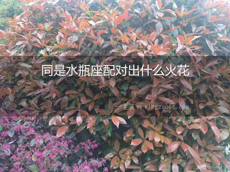 同是水瓶座配對出什么火花
