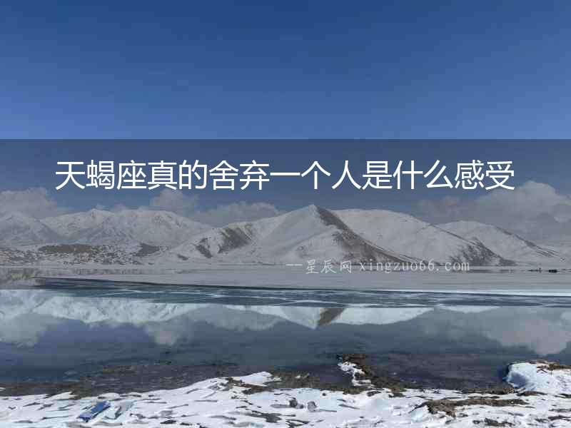 天蝎座真的舍棄一個人是什么感受