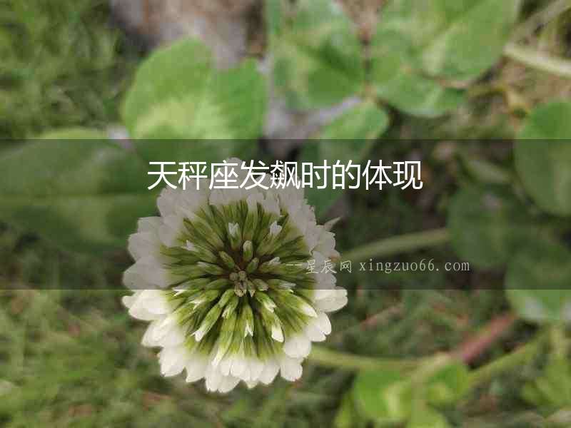 天秤座發飆時的體現