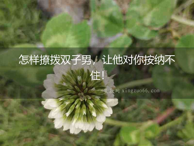 怎樣撩撥雙子男，讓他對你按納不?。? width=