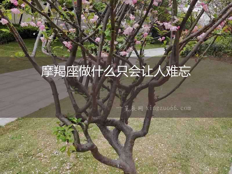 摩羯座做什么只會(huì)讓人難忘