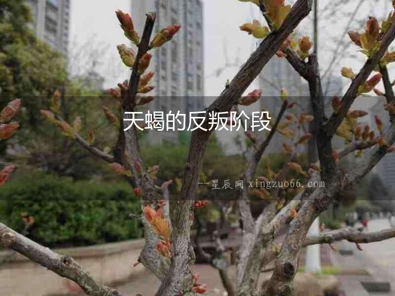 天蝎的反叛階段
