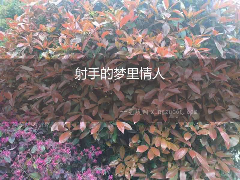 射手的夢里情人