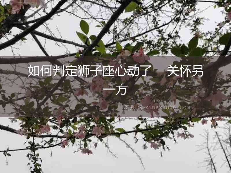 如何判定獅子座心動(dòng)了    關(guān)懷另一方