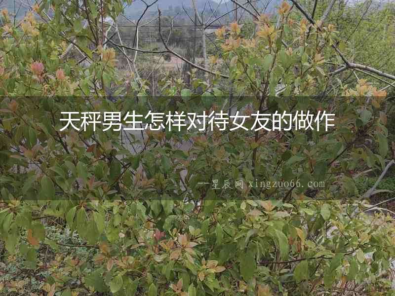 天秤男生怎樣對待女友的做作