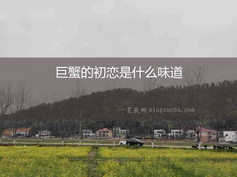巨蟹的初戀是什么味道