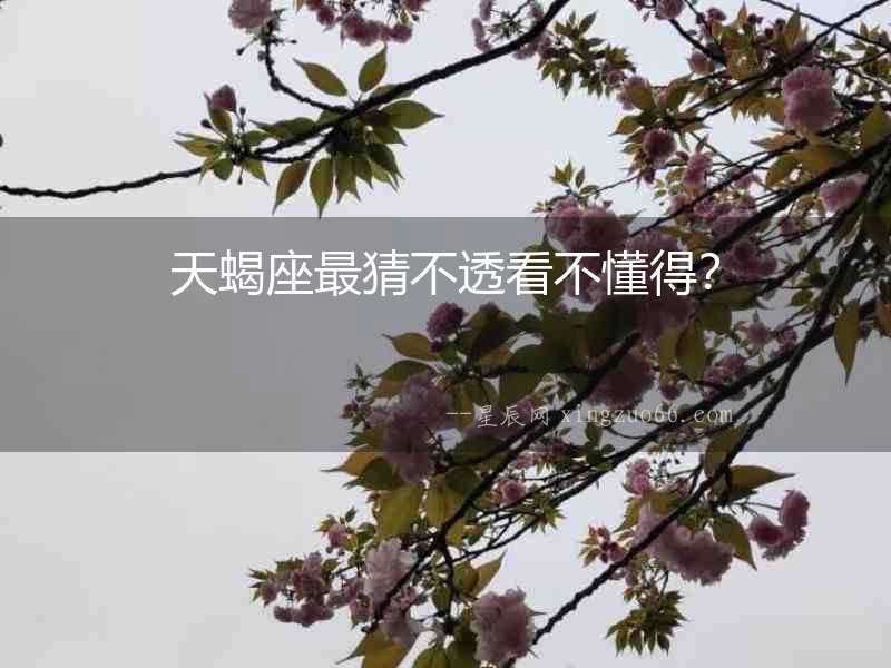 天蝎座最猜不透看不懂得？