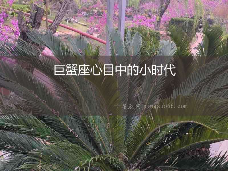 巨蟹座心目中的小時代