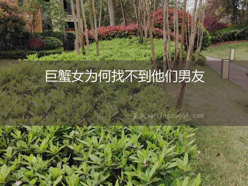 巨蟹女為何找不到他們男友