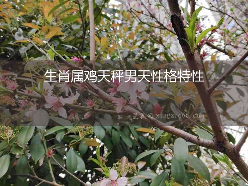 生肖屬雞天秤男天性格特性