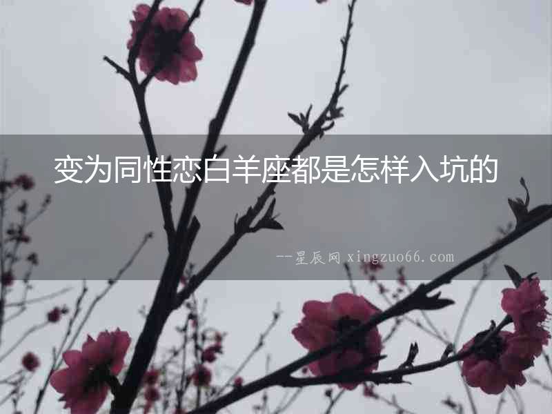 變為同性戀白羊座都是怎樣入坑的