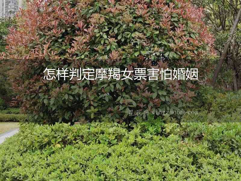 怎樣判定摩羯女票害怕婚姻