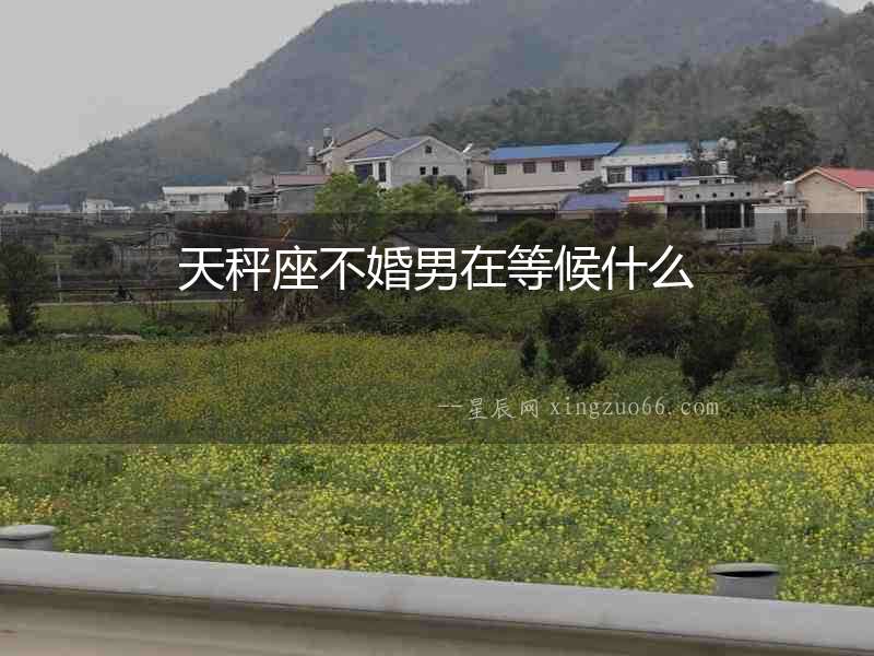 天秤座不婚男在等候什么
