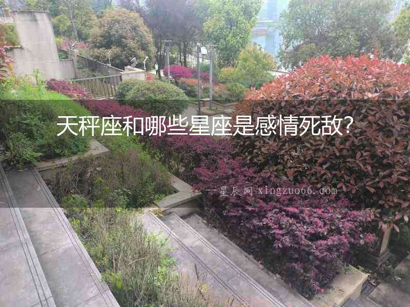 天秤座和哪些星座是感情死敵？