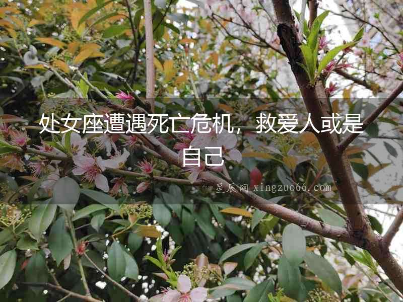 處女座遭遇死亡危機，救愛人或是自己