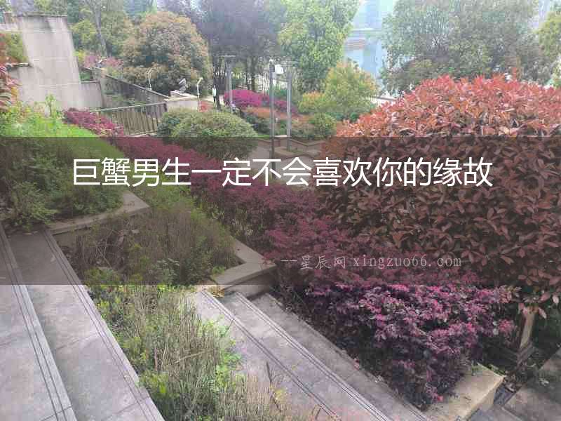 巨蟹男生一定不會喜歡你的緣故
