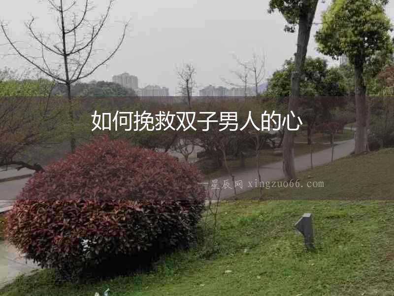 如何挽救雙子男人的心