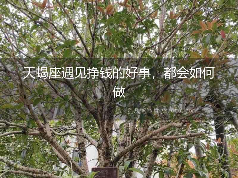 天蝎座遇見掙錢的好事，都會如何做