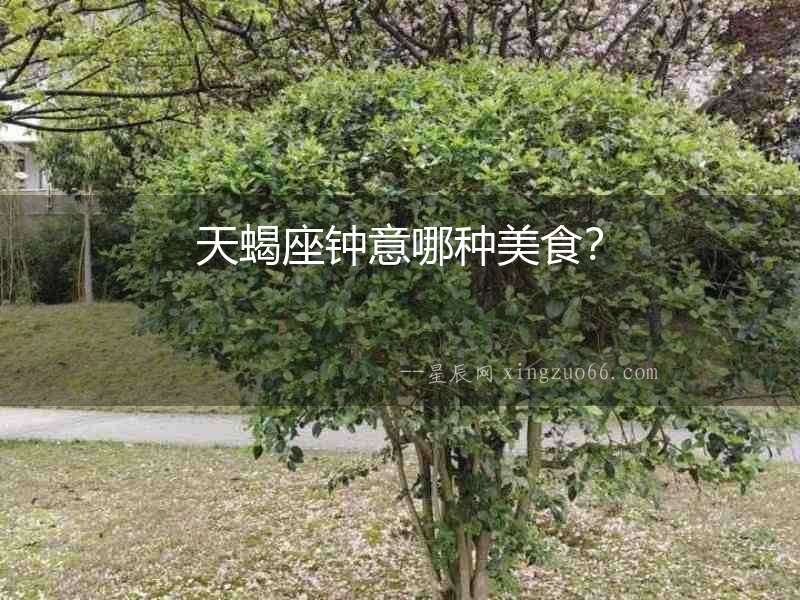 天蝎座鐘意哪種美食？