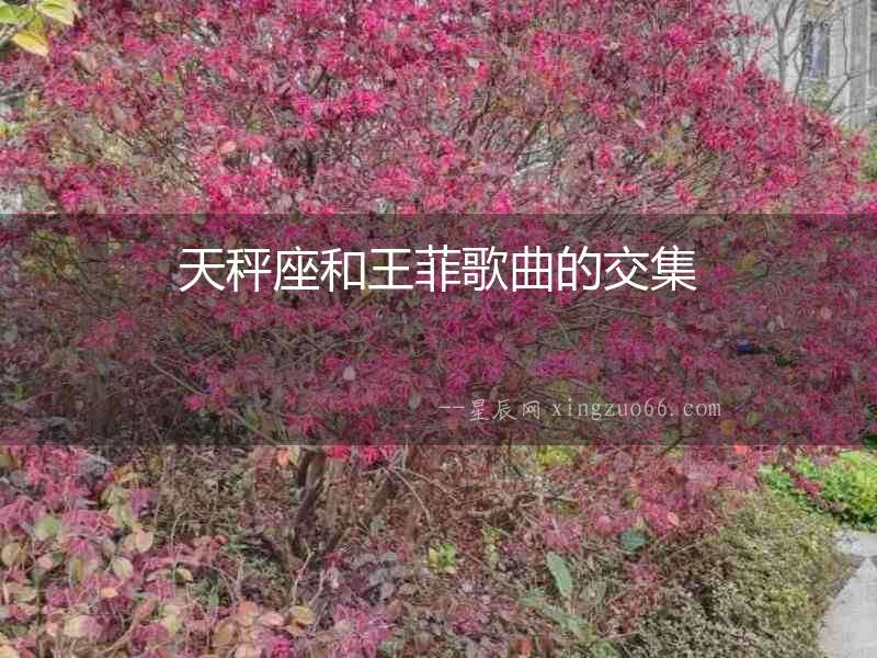 天秤座和王菲歌曲的交集