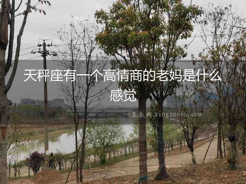 天秤座有一個高情商的老媽是什么感覺