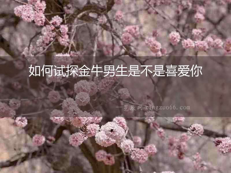 如何試探金牛男生是不是喜愛你
