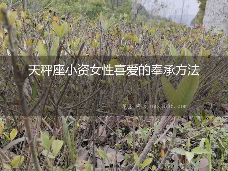 天秤座小資女性喜愛的奉承方法
