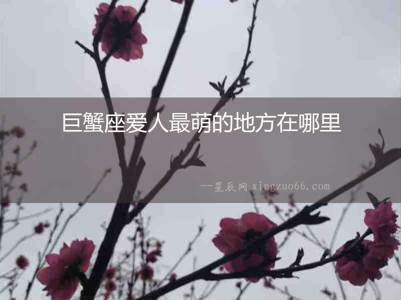 巨蟹座愛人最萌的地方在哪里