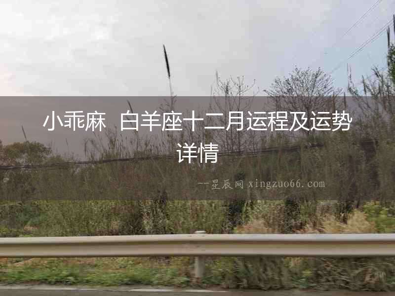 小乖麻  白羊座十二月運(yùn)程及運(yùn)勢(shì)詳情