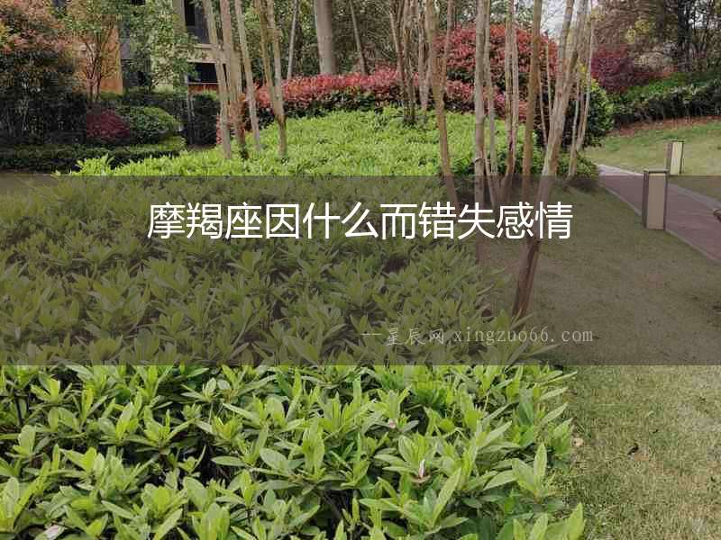 摩羯座因什么而錯失感情