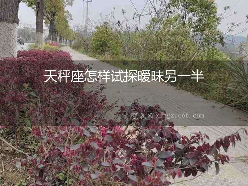 天秤座怎樣試探曖昧另一半