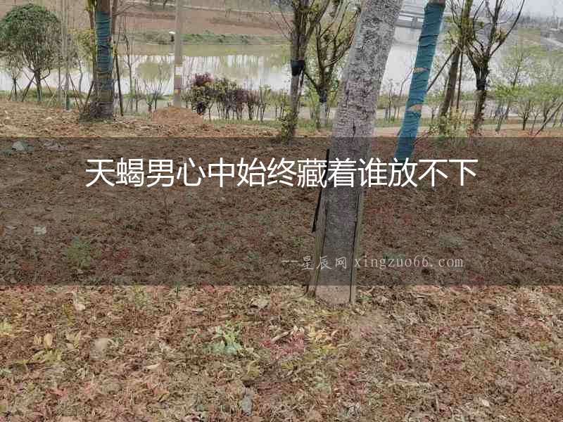 天蝎男心中始終藏著誰放不下