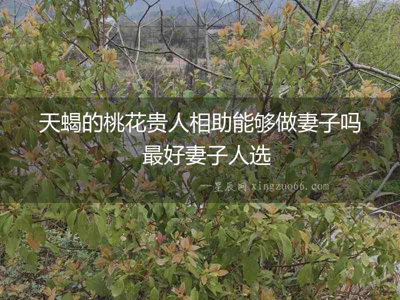 天蝎的桃花貴人相助能夠做妻子嗎  最好妻子人選