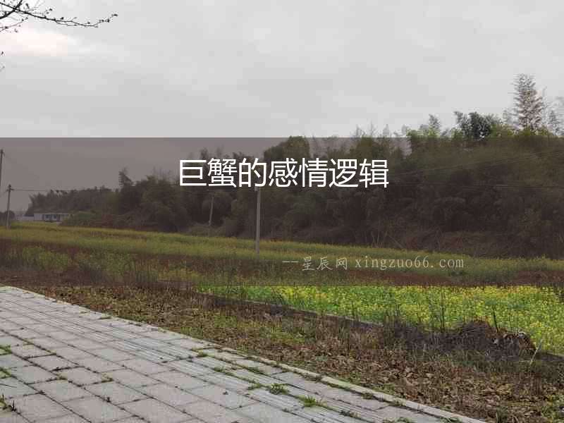巨蟹的感情邏輯