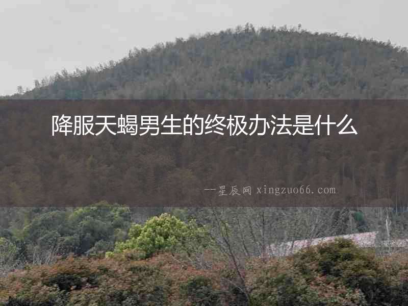 降服天蝎男生的終極辦法是什么