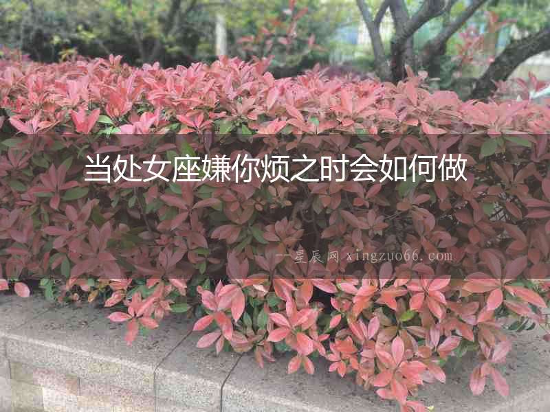 當處女座嫌你煩之時會如何做