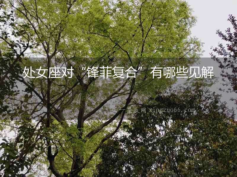 處女座對“鋒菲復合”有哪些見解