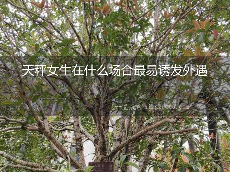 天秤女生在什么場合最易誘發(fā)外遇