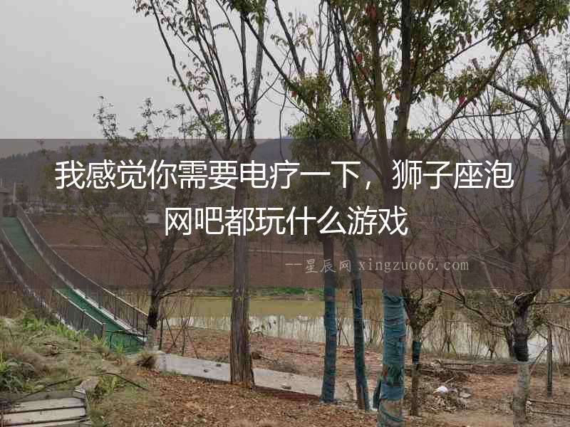 我感覺你需要電療一下，獅子座泡網(wǎng)吧都玩什么游戲