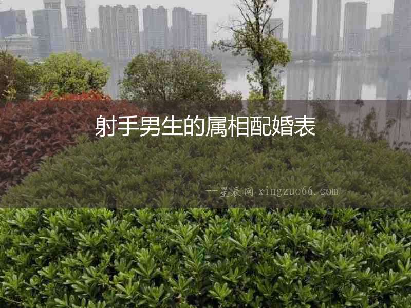 射手男生的屬相配婚表