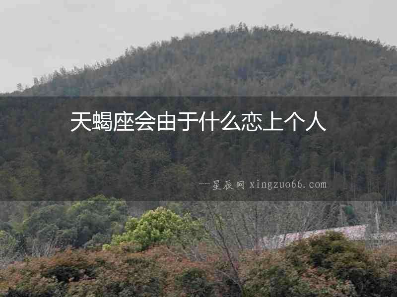 天蝎座會由于什么戀上個人