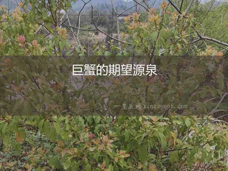 巨蟹的期望源泉