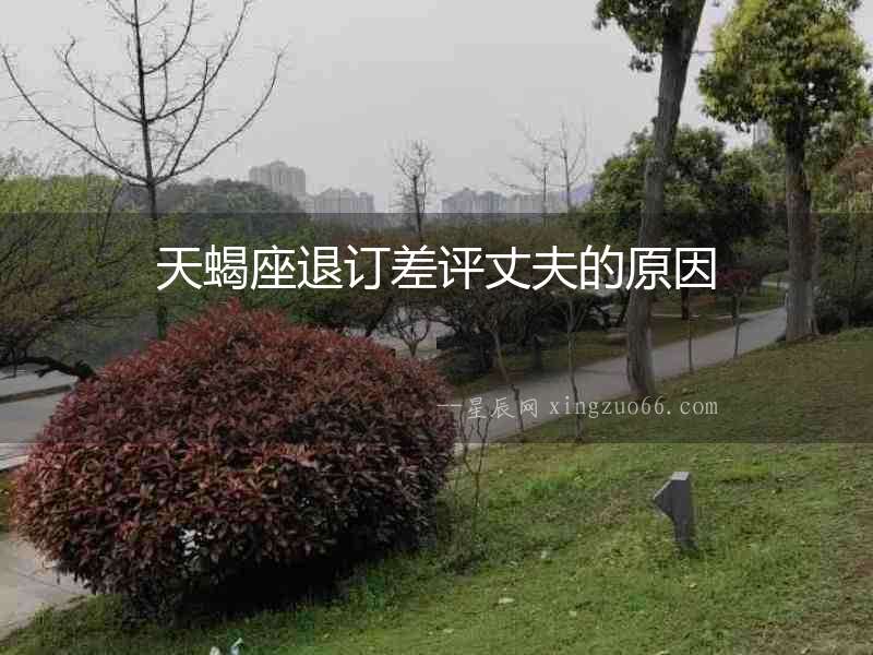 天蝎座退訂差評丈夫的原因